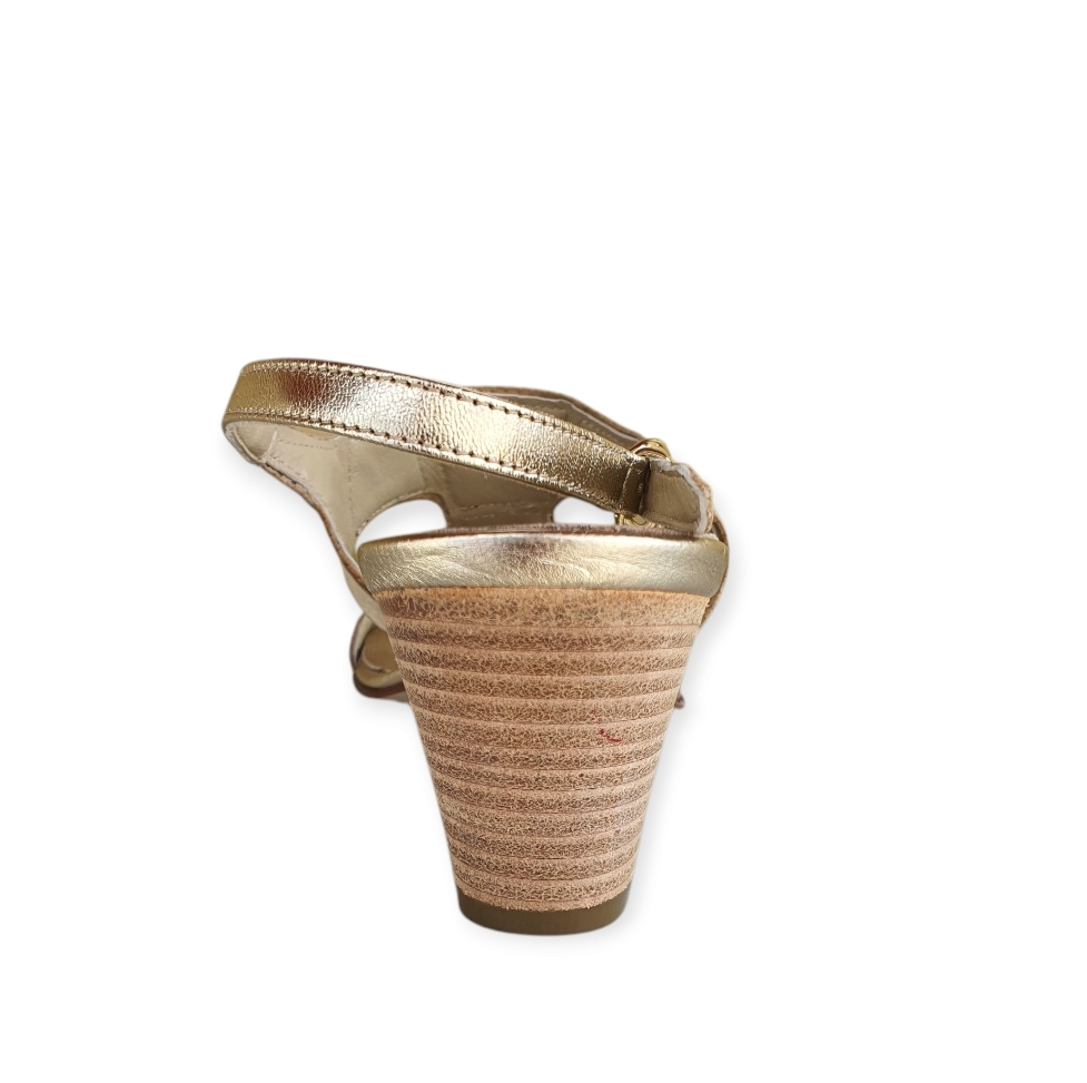 7792 Pitone stamp roccia